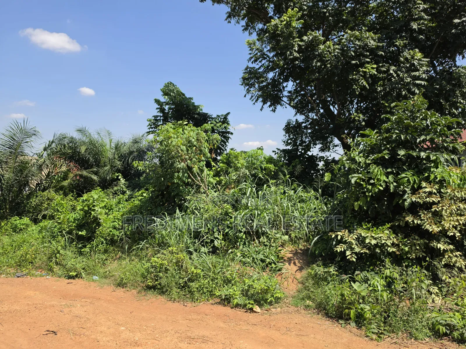 Land at Atimatim-Essen for Sale