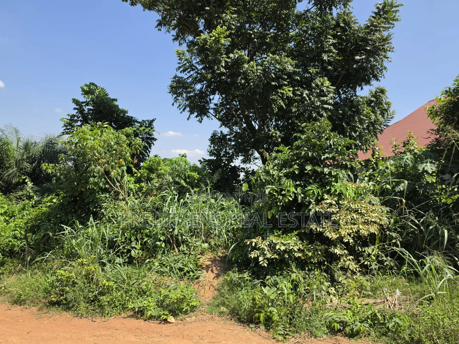 Land at Atimatim-Essen for Sale
