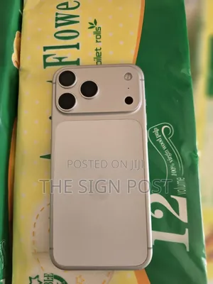 Apple iPhone 17 Pro Max 256 GB Silver