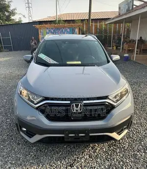 Cars Rental