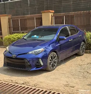 Cars Rental