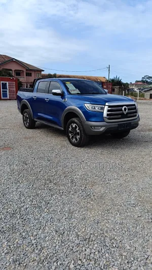 Great Wall Poer 2020 Blue
