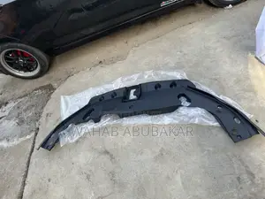 RX350 2024 Radiator Panel