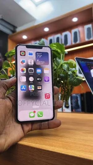 Apple iPhone XS Max 64 GB Gold