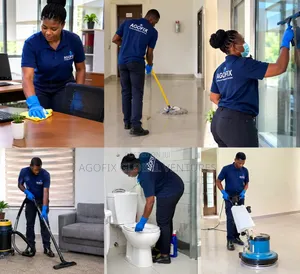 Professional Cleaning Services