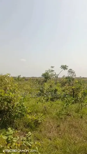 Farmland for Sale