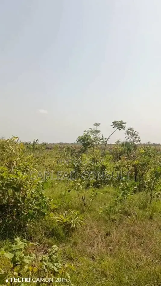 Farmland for Sale