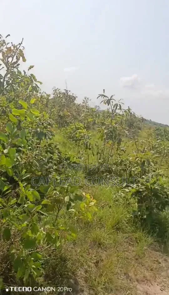Farmland for Sale