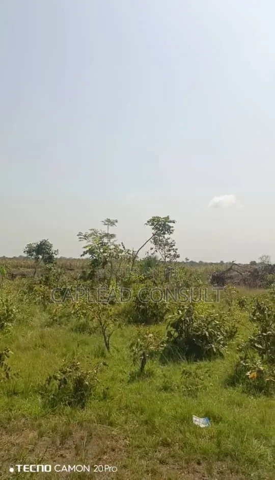 Farmland for Sale