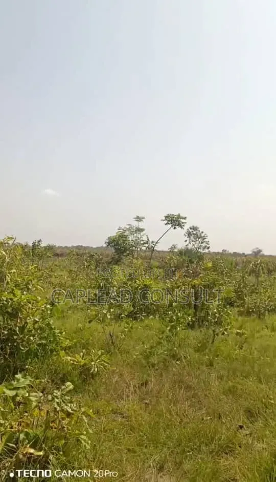 Farmland for Sale