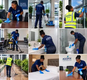 Professional Cleaning Services