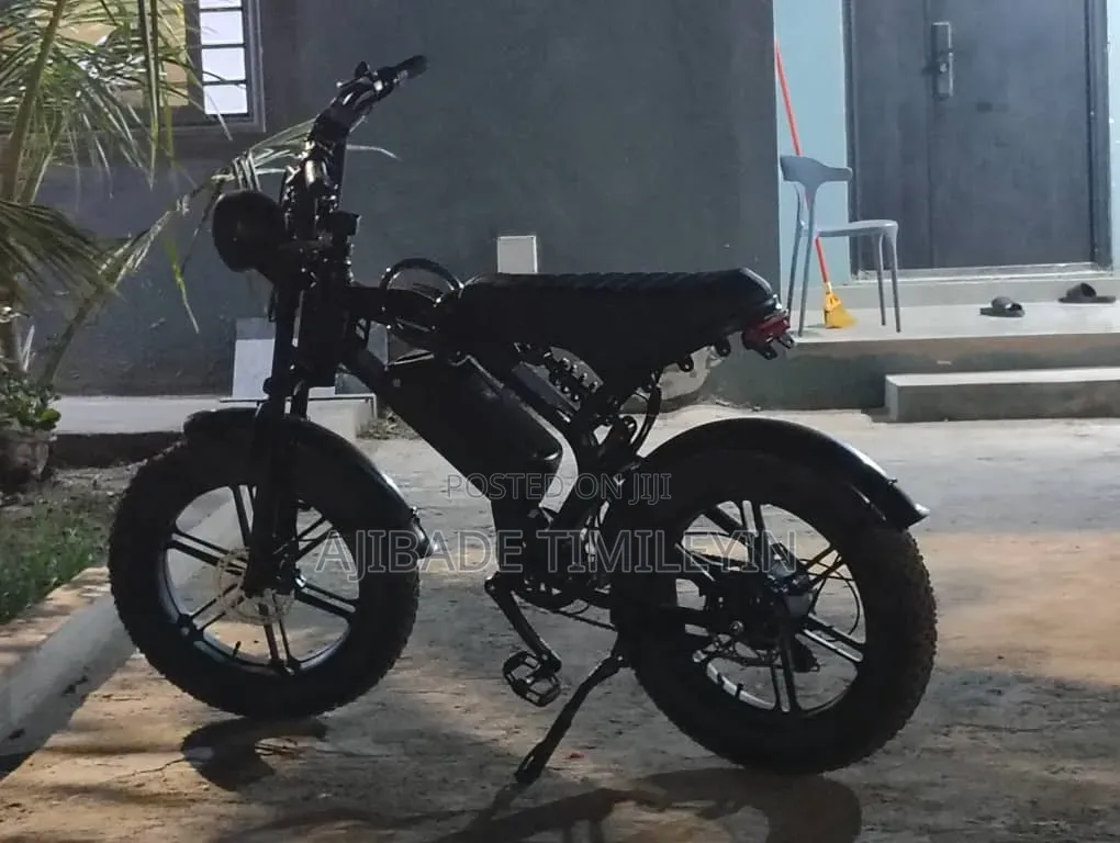 Electric Bycicle