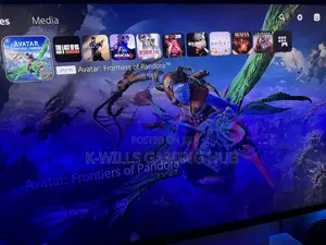 PS4 PS5 Online Games Account