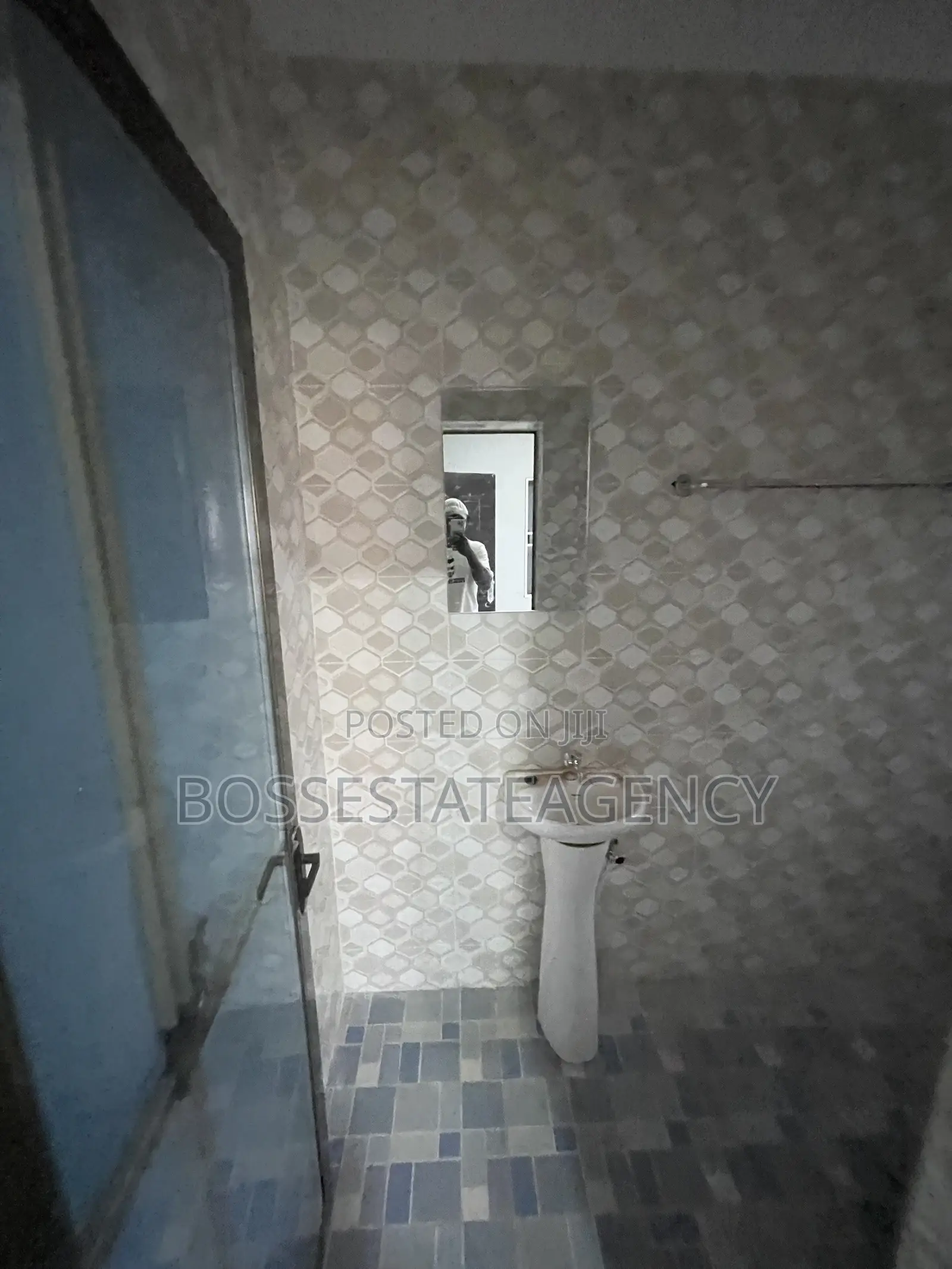 2bdrm Apartment in Boss Estate Agency, Sasaabi for rent