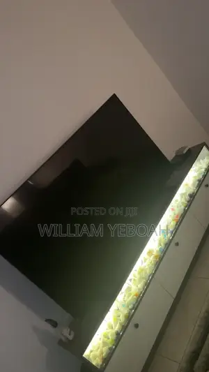 Samsung 65 Inch Television