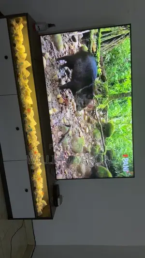 Samsung 65 Inch Television