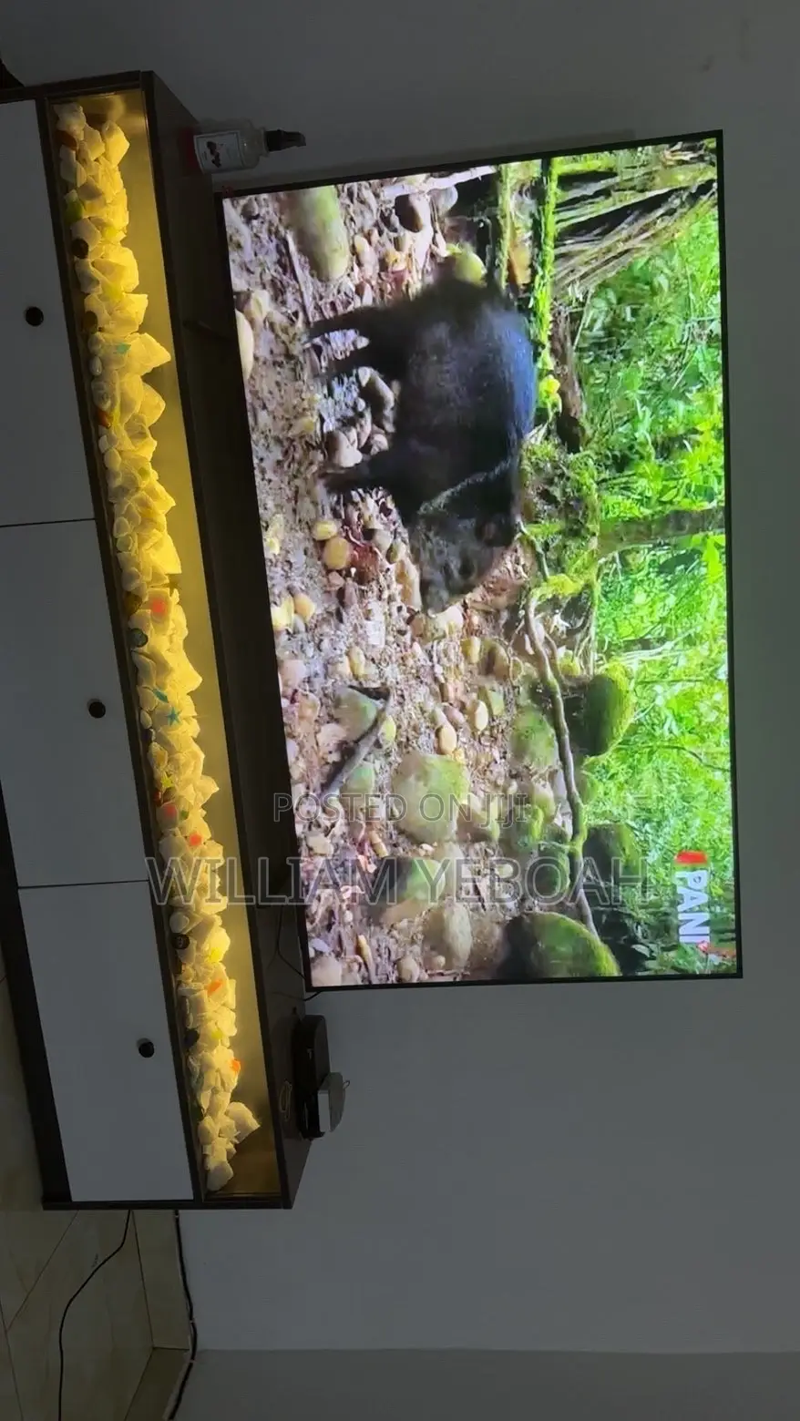 Samsung 65 Inch Television
