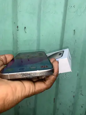 Apple iPhone 15 Pro Max 256 GB Silver