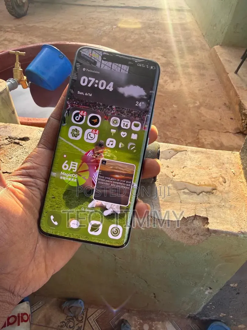 Honor Magic6 Pro 256 GB Green
