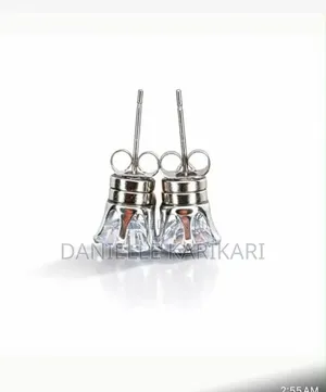Danielle's Accessories