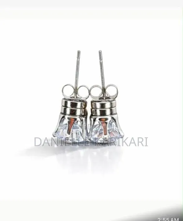 Danielle's Accessories