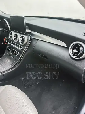 Mercedes-Benz C300 2016 Silver