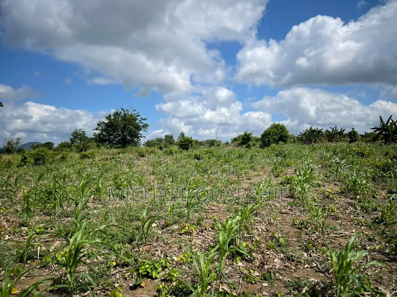 Land for Sale at Asuboi Off the Suhum Road Per Plot