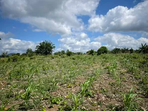 Land for Sale at Asuboi Off the Suhum Road Per Plot