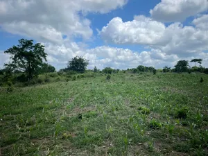 Land for Sale at Asuboi Off the Suhum Road Per Plot