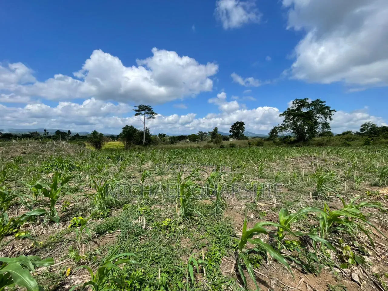 Land for Sale at Asuboi Off the Suhum Road Per Plot