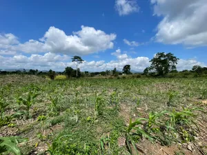 Land for Sale at Asuboi Off the Suhum Road Per Plot