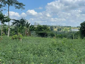 Land for Sale at Asuboi Off the Suhum Road Per Plot