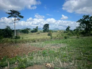 Land for Sale at Asuboi Off the Suhum Road Per Plot