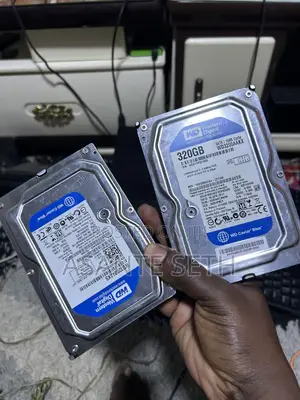 Western Digital 320Gb Desktop Hard Drive for Sale