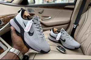Original Nike LeBron Ambassador Grey