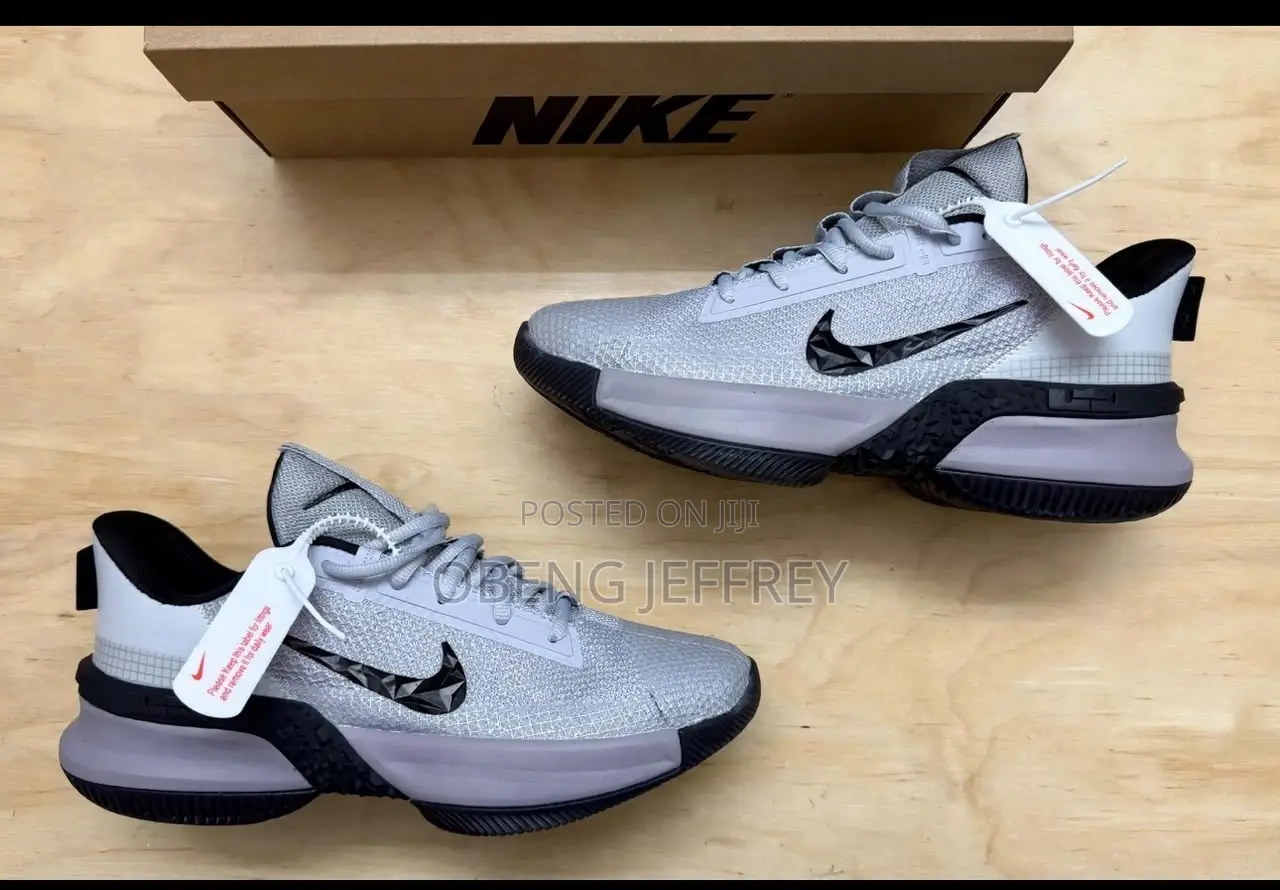 Original Nike LeBron Ambassador Grey