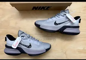 Original Nike LeBron Ambassador Grey