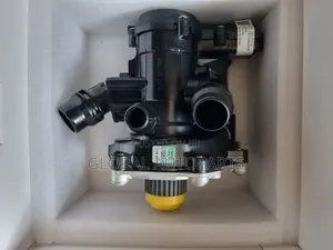 Water Pumps and Thermostat Assembly