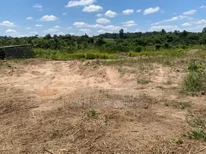 3 Acres of Registered Land (For Farms, Personal & Industrial)