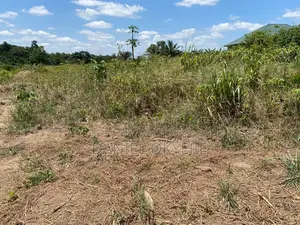 3 Acres of Registered Land (For Farms, Personal & Industrial)