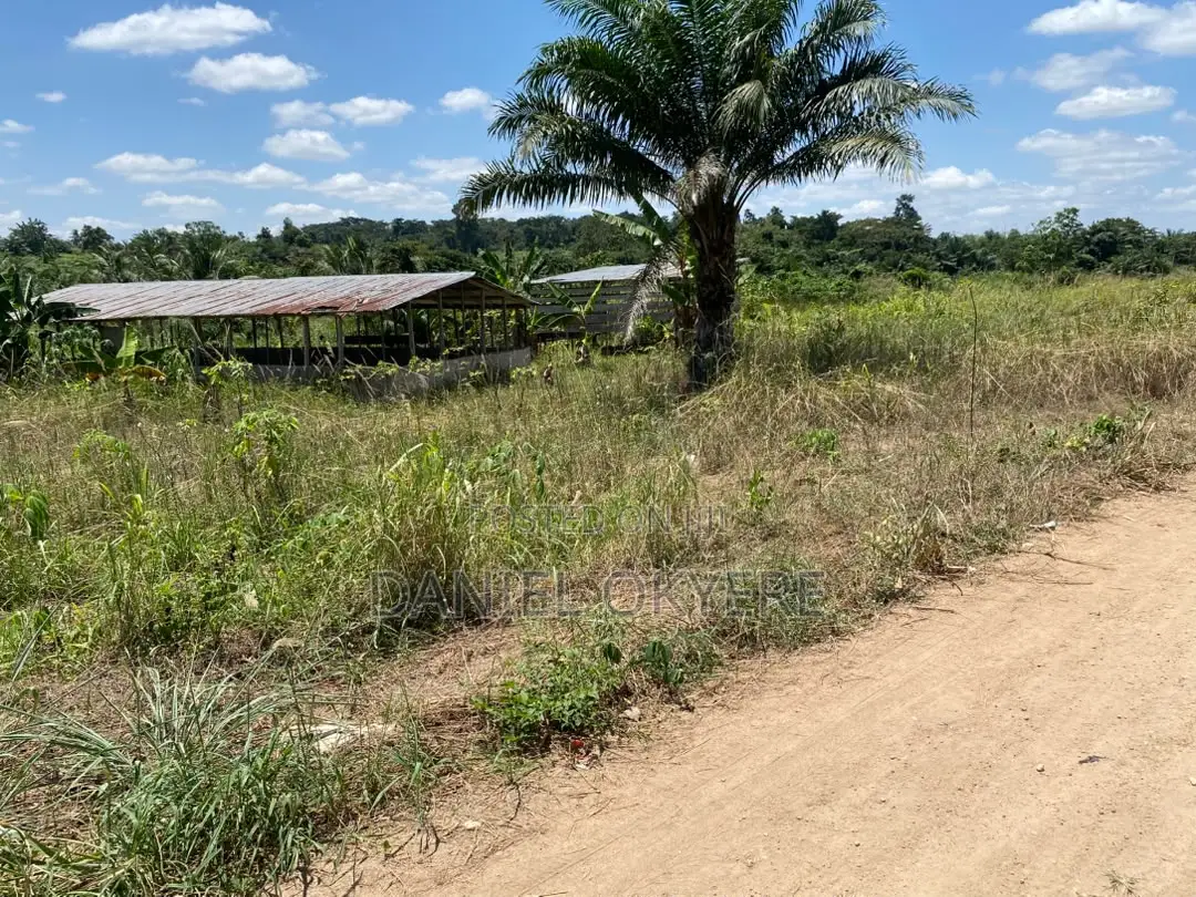 3 Acres of Registered Land (For Farms, Personal & Industrial)