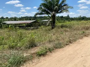 3 Acres of Registered Land (For Farms, Personal & Industrial)
