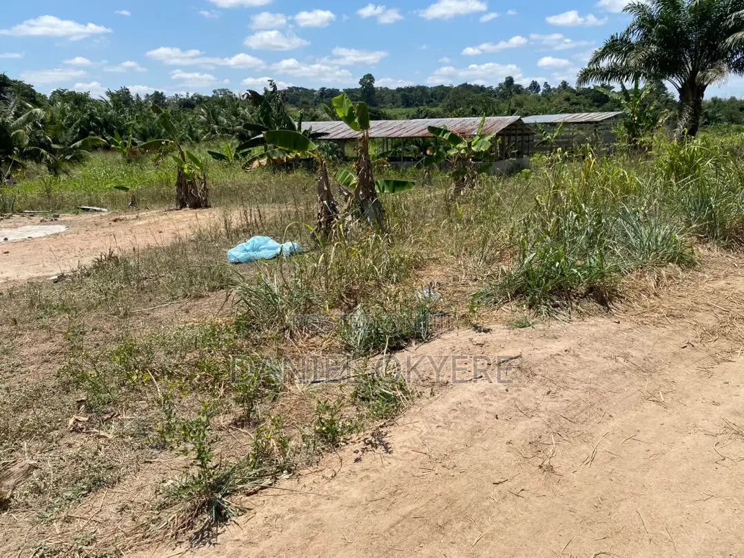 3 Acres of Registered Land (For Farms, Personal & Industrial)