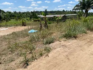 3 Acres of Registered Land (For Farms, Personal & Industrial)