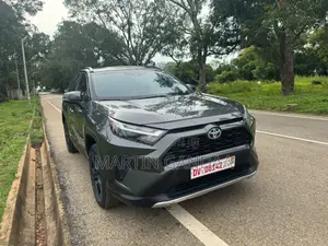 Toyota RAV4 2023 Gray