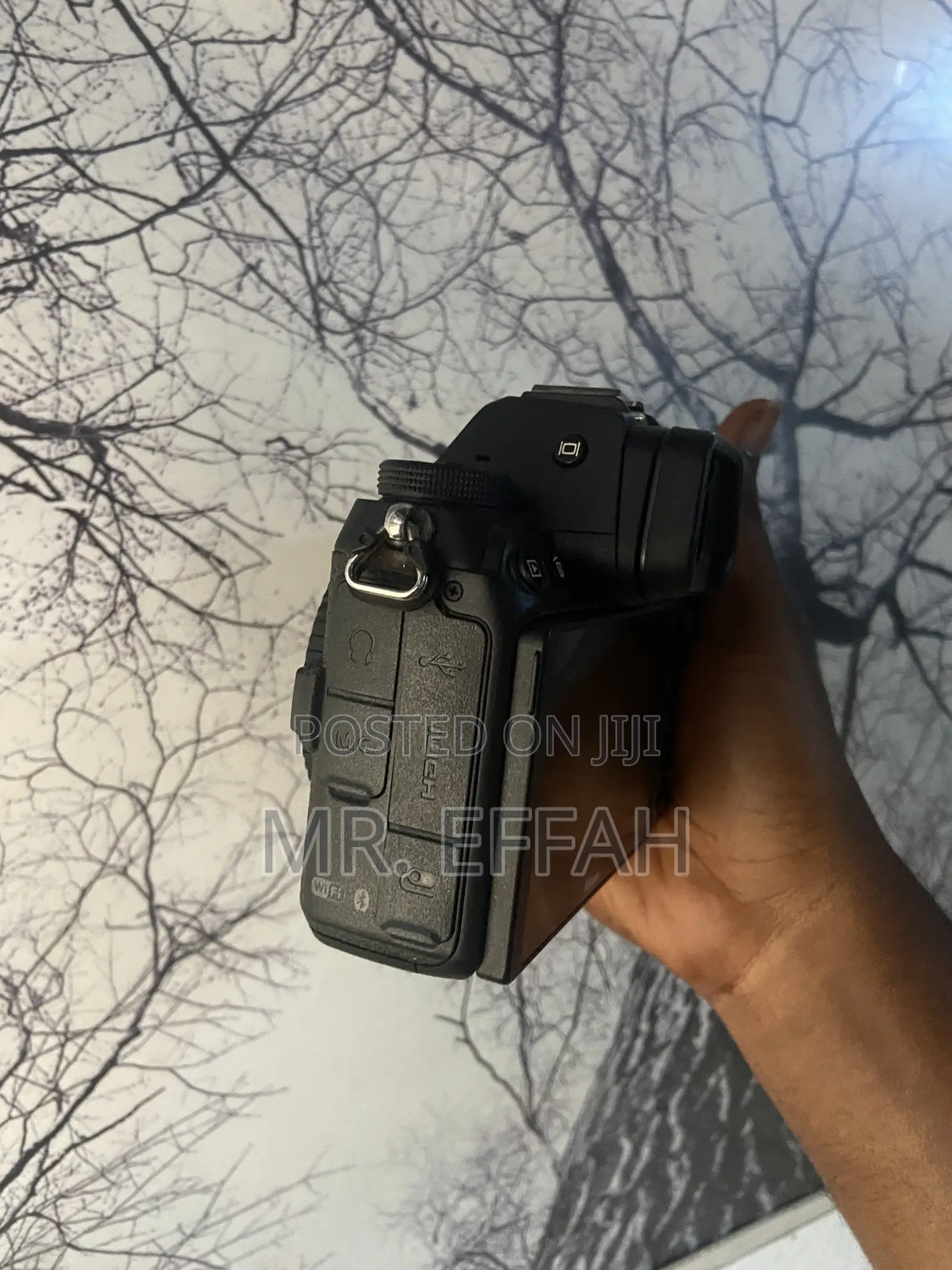 Nikon Z6 Mark 2