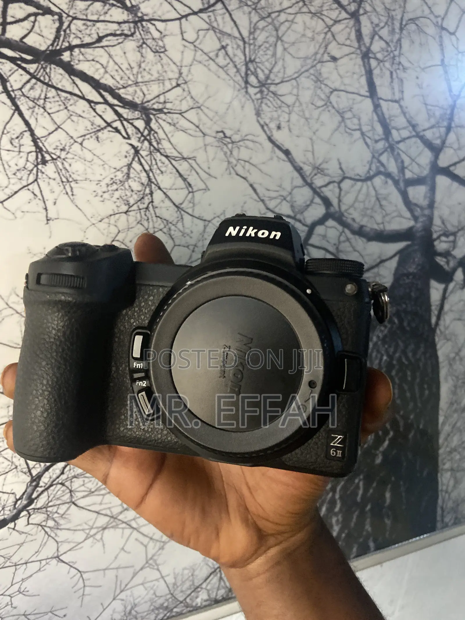 Nikon Z6 Mark 2
