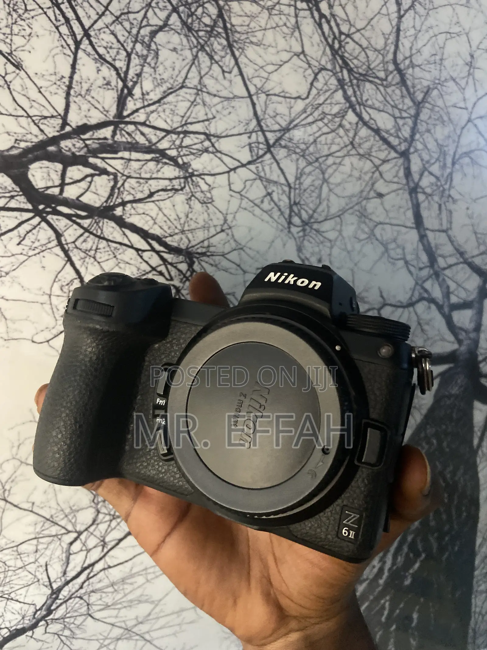 Nikon Z6 Mark 2