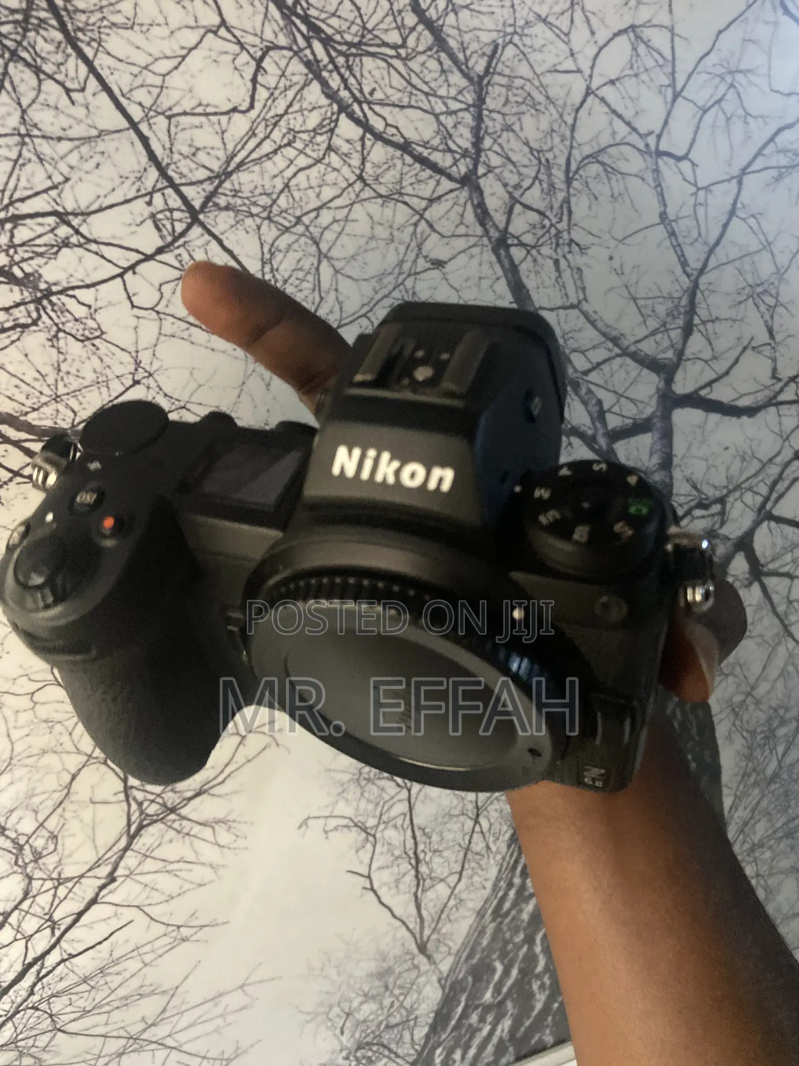Nikon Z6 Mark 2