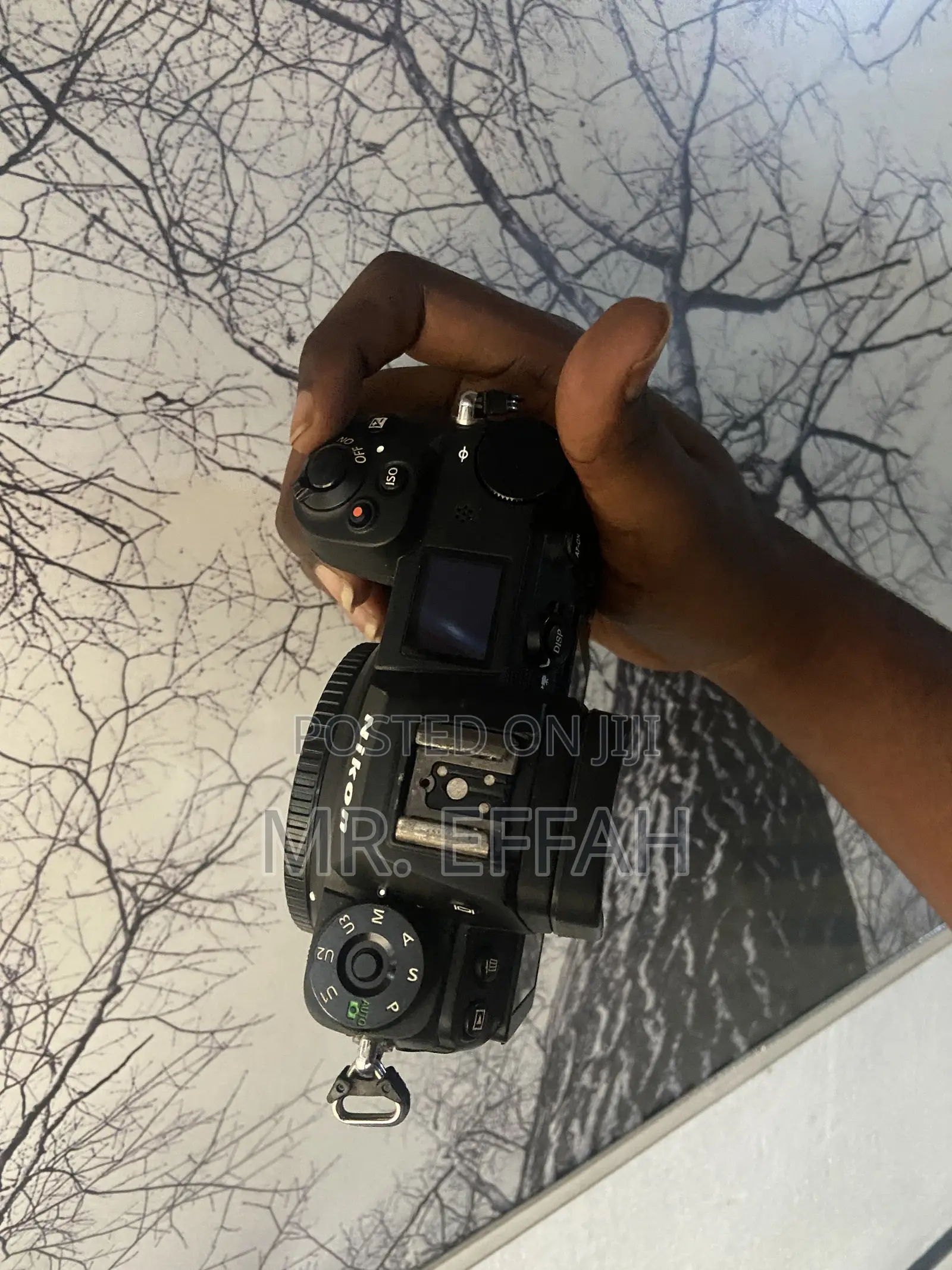 Nikon Z6 Mark 2